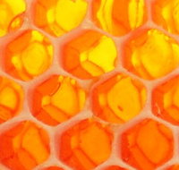 The Honey Pot - Whitsundays Accommodation