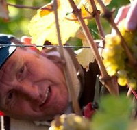 Puddleduck Vineyard - Whitsundays Accommodation