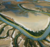 The Wilderness Gallery - Whitsundays Accommodation