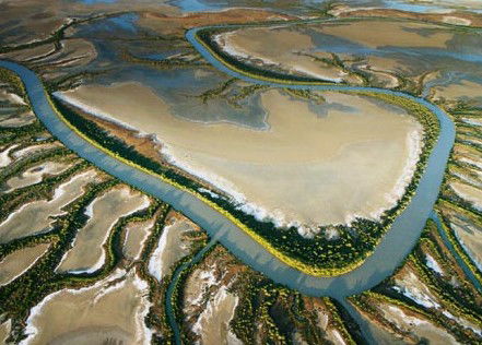 The Wilderness Gallery - Whitsundays Accommodation 0