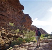 Giles Track - Whitsundays Accommodation