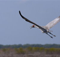 Gayngaru Wetlands Interpretive Walk - Whitsundays Accommodation