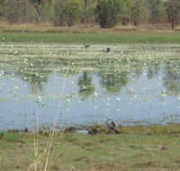 Leaning Tree Lagoon Nature Park - Whitsundays Accommodation