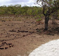 Wurrwurrwuy Garanhan Macassan Beach Interpretive Walk - Whitsundays Accommodation
