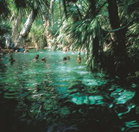 Mataranka Thermal Pool - Whitsundays Accommodation