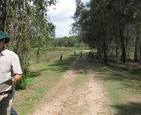 Coombabah QLD Whitsundays Accommodation