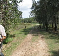 Coombabah Lakes Conservation Area - Whitsundays Accommodation