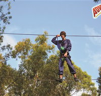 Adventure Parc at Currumbin Wildlife Sanctuary - Whitsundays Accommodation