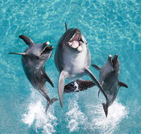 Sea World - Whitsundays Accommodation