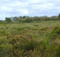 Pine Ridge Conservation Park - Whitsundays Accommodation