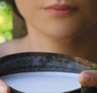 Ikatan Day Spa - Whitsundays Accommodation