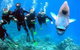 Magic Mountain Dive Site - thumb 0