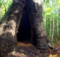 Tewantin National Park - Whitsundays Accommodation