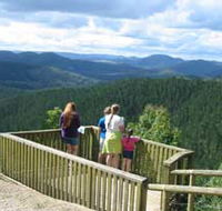 Kenilworth Forest Reserve - Whitsundays Accommodation