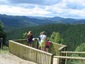 Kenilworth Forest Reserve - Whitsundays Accommodation 0