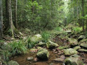 Amamoor State Forest - Whitsundays Accommodation 0