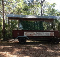 Apallonian Hotel - Whitsundays Accommodation