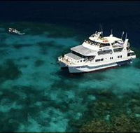 Fish Bowl Dive Site - Whitsundays Accommodation