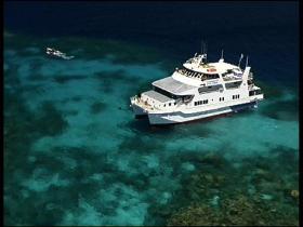 Fish Bowl Dive Site - Whitsundays Accommodation 0