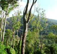 Smiths Track Barron Gorge National Park - Whitsundays Accommodation
