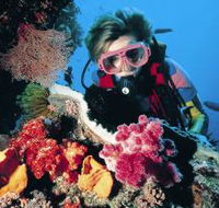 Osprey Reef - Whitsundays Accommodation