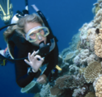 Moore Reef Dive Site - Whitsundays Accommodation