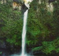 Nandroya Falls Circuit Track Wooroonooran National Park - Whitsundays Accommodation