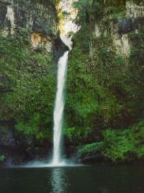 Nandroya Falls Circuit Track, Wooroonooran National Park - Whitsundays Accommodation 0