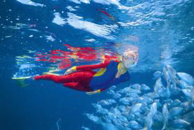 Great Detached Reef Dive Site - Whitsundays Accommodation 0