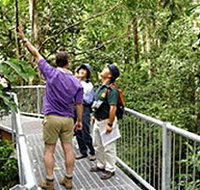 Daintree Discovery Centre - Whitsundays Accommodation