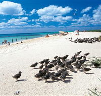 Michaelmas and Upolo Cays National Park - Whitsundays Accommodation