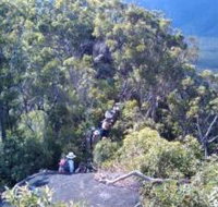 Mia Mia State Forest