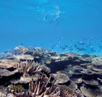 Australian Institute of Marine Science - Whitsundays Accommodation