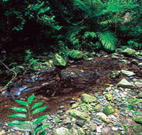 Wompoo Walk - Whitsundays Accommodation