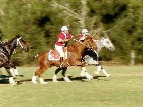 Loch Lomond QLD Whitsundays Accommodation