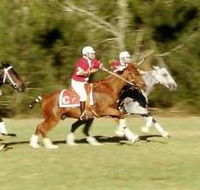 Morgan Park - Whitsundays Accommodation