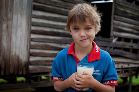 Maleny Dairies - Whitsundays Accommodation 2