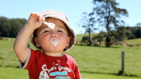 Maleny Dairies - Whitsundays Accommodation 5