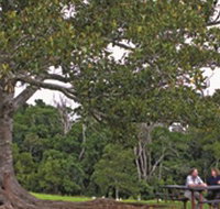 Ravensbourne National Park - Whitsundays Accommodation