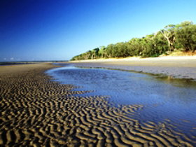 Kinkuna Section - Whitsundays Accommodation 0