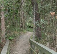 Springwood Conservation Park - Whitsundays Accommodation
