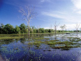 Tyto Wetlands - Whitsundays Accommodation 0
