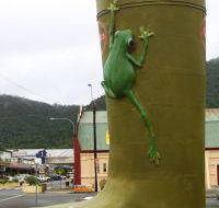 Golden Gumboot - Whitsundays Accommodation