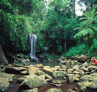 Tamborine National Park - Whitsundays Accommodation
