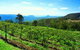 Preston Peak Wines - thumb 0