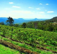 Preston Peak Wines - Whitsundays Accommodation