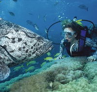 Pelorus Island - Whitsundays Accommodation