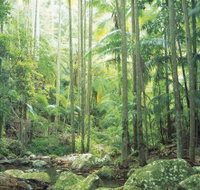 Python Rock - Whitsundays Accommodation