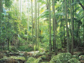 Python Rock - Whitsundays Accommodation 0