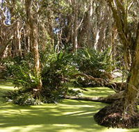Arkarra Lagoons and Tea Gardens - Whitsundays Accommodation